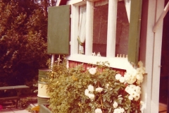 Stuga-58-Susanne-1