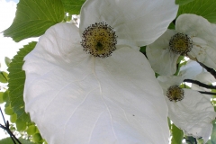 image3-2