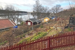 kollovår