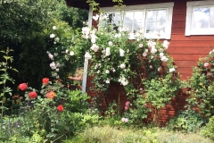stuga-o-rosor